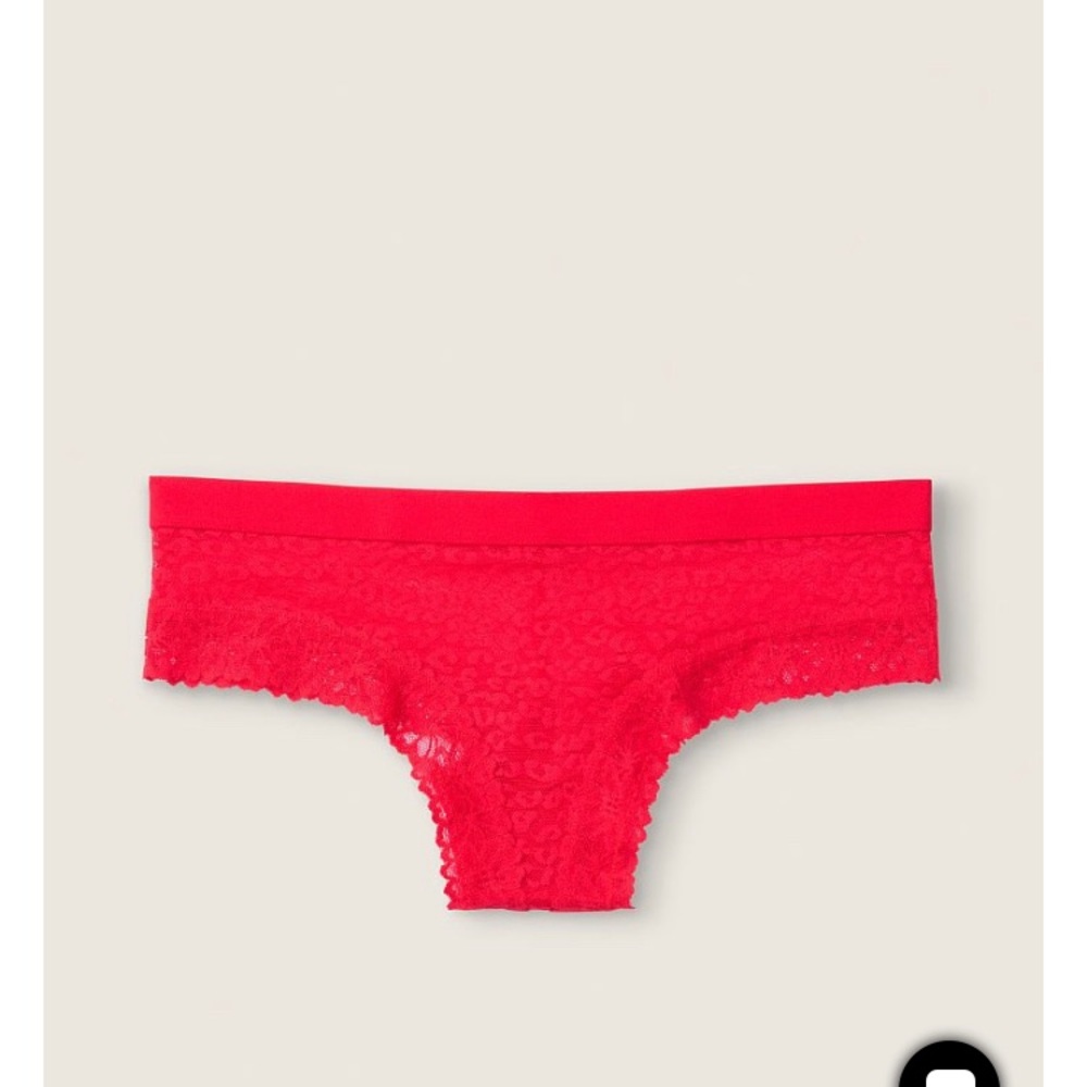 Victoria’s Secret Lace Cheekster panties (4)
